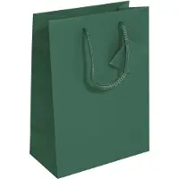 Sigel 5 pochettes cadeaux vertes 17,0 x 23,0 cm (5x)