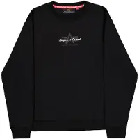 Alpha industries Sweat-shirt 'Foam' gris foncé / noir / blanc