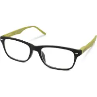 Zippo Lunettes de lecture 31Z-B3-GRE200 +2.00
