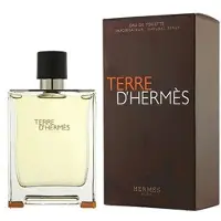 Hermès Paris Terre D'eau de toilette format 100ml