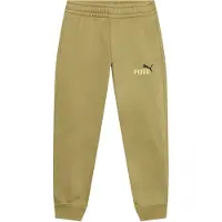 Puma Pantalon 'ESS No. 1' sépia