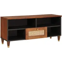 vidaXL Meuble TV marron, 100 x 33,5 x 46 cm, en bois massif de mangue
