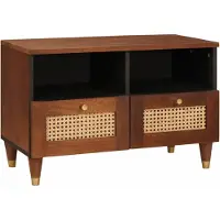 vidaXL Armoire TV avec étagère Marron 70 x 33,5 x 46 cm Bois massif Mango