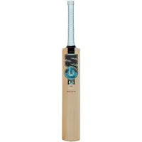 Gunn And Moore Batte de cricket Diamond 20 Kashmir Willow, couleur marron, marque Harrow, modèle Harrow