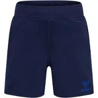 Hummel Pantalon de sport bleu / bleu foncé