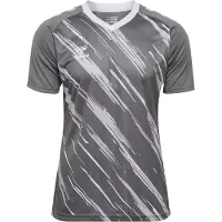 Hummel T-Shirt fonctionnel 'Match Triumph' gris clair / gris foncé