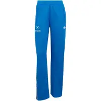 Adidas Pantalon de sport 'Mercedes-AMG Petronas Formula 1 Team' bleu / blanc