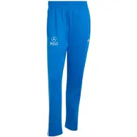 Adidas Pantalon de sport 'Mercedes-AMG Petronas Formula 1 Team' bleu / blanc