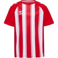 Hummel T-Shirt fonctionnel rouge / blanc