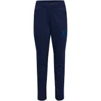 Hummel Pantalon de sport bleu / bleu foncé