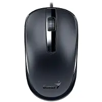 Genius DX-120 Maus Black Typ-C (Filaire), Souris, Noir