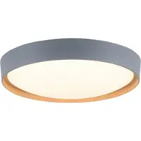 Paul Neuhaus Selltec LED Plafonnier Q EMILIA Smart Home dimmable Télécommande contrôlable App Applique grise Salon, chambre, couloir, cuisine, bureau 6118-15