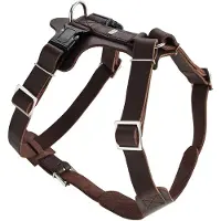 Hunter Vaisselle Aalborg (XS, Chien, Promenade)