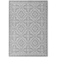 Hanse Home , tapis d'intérieur et d'extérieur, résistant aux intempéries, robuste, double face, motif Rosel, blanc et gris - 200x290 cm