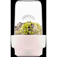 Kilner Aufbewahrungsglas für Sprossen, 0,5 Liter 111336 5010853283449