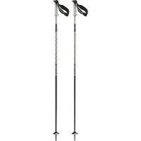 Salomon Polar Pro S3 Poles Argenté 120 cm
