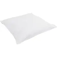 vidaXL Couette 2 en 1 avec oreiller 2 pcs Blanc Plume de duvet