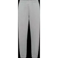 Adidas Pantalon 'Essentials' gris clair