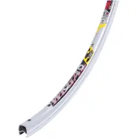 Rodi 28"