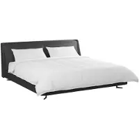 vidaXL Ensemble de couettes et oreillers , 3 pièces, blanc, en duvet