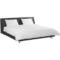 vidaXL Ensemble de couettes et oreillers , 3 pièces, blanc, en duvet