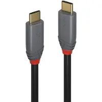 Lindy 5a 1.5 M Usb-c Cable Doré