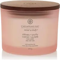 Chesapeake Bay Candle Bougie Calme et Pureté 312,0 g