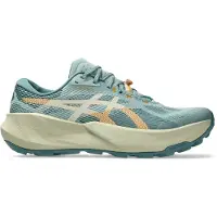 Asics Chaussures de trail Trabuco 14