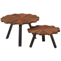 vidaXL Tables basses 2 pcs. Vieux bois massif et fer