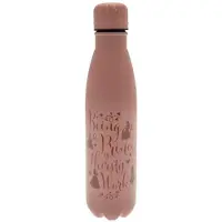 Ginza.se Bouteille Disney Princess Metal 550ml