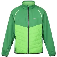 Regatta Steren Hybrid Softshell Jacket Vert L Homme