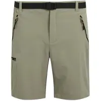 Regatta Short de randonnée Xert III
