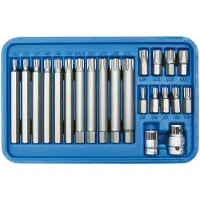SW-Stahl SW-Steel Jeu de Ribe 22 pcs. M5-M13 Acier Sw