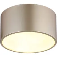 Globo Lampe de plafond Raymond Champagne