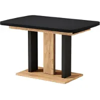 Vicco Table de salle à manger Fenaro Noir/Chêne de force doré 120-160 x 80 cm 2 parties, Model 56589