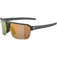 Alpina sport Lunettes de soleil SWIFT HR