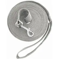 INF Laisse d'entraînement pour chien de 6m en polyester - Longue longe pour le rappel Grey