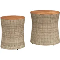 vidaXL Tables d'appoint de jardin 2 pcs. avec plateau en bois beige Poly rotin