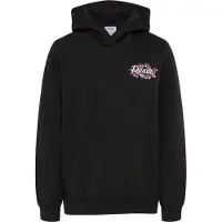 Puma Sweat-shirt 'Essentials Nature 2.0' noir
