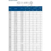Rawl Goujons d'ancrage pour béton non fissuré 8X60 boîte de 100 - - R-XPT-08060/10