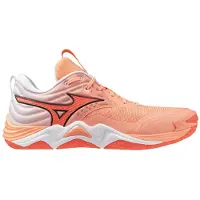 Mizuno Chaussures Wave Momentum Elite V1GA251280