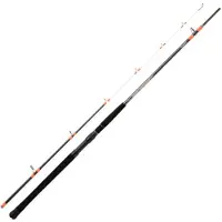 Daiwa Canne à pêche Megaforce Boat Boots, noire, 2,10 m / 100-300 g, noire, 2,10 m