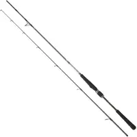 Daiwa Saltist Seabass Spinning Rod Argenté 2.13 m / 7-28 g