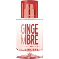 SOLINOTES , Gingembre, Eau de Parfum, Unisexe, 50 ml
