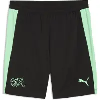Puma Hommes, Bas de sport, SFV Training Shorts w/ pockets (M), Vert, Noir