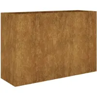 vidaXL - Jardinière - surélevée - 120x40x80 - cm - Acier corten
