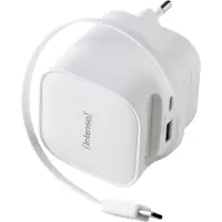 Intenso 7806520 adaptateur de puissance & onduleur Intérieure 65 W Noir