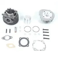 Polini Haut Moteur Pour Scooter Peugeot 50 Buxy Avant 2020 142.0148 Neuf