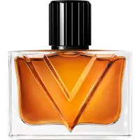 Valentino - Vendetta Uomo Eau De Parfum Pour Homme - 50 ML