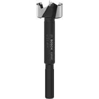 Bosch Expert Forstner Drill 24 Mm Argenté